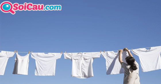 Ngủ mơ thấy áo trắng đánh đề con gì? Ngủ mơ thấy áo trắng đánh đề con gì?