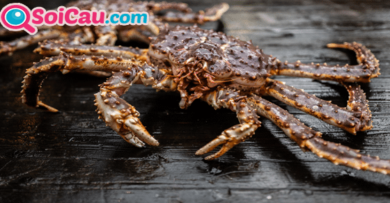 Ngủ mơ thấy cua hoàng đế đánh đề con gì? Ngủ mơ thấy cua hoàng đế đánh đề con gì?