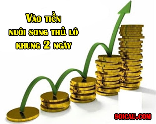 vao-tien-song-thu-lo-nuoi-khung-2-ngay vào tiền nuôi song thủ lô khung 2 ngày